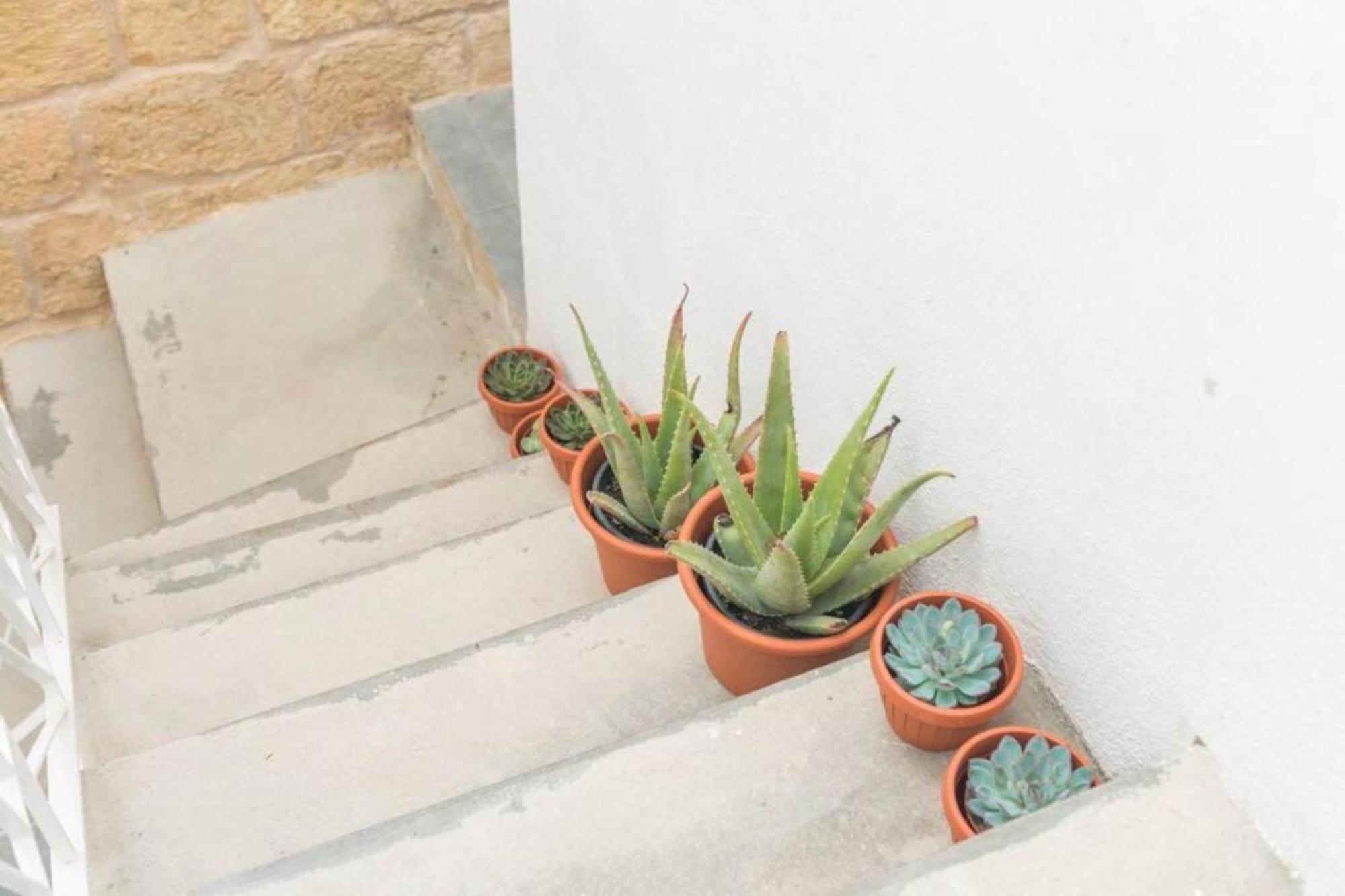 Authentic Gf Apartment With Terrace At The 3 Cities Marina Cospicua المظهر الخارجي الصورة